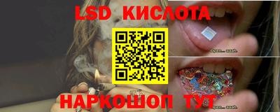 твердый Краснознаменск