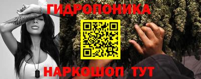 дживик Краснодар