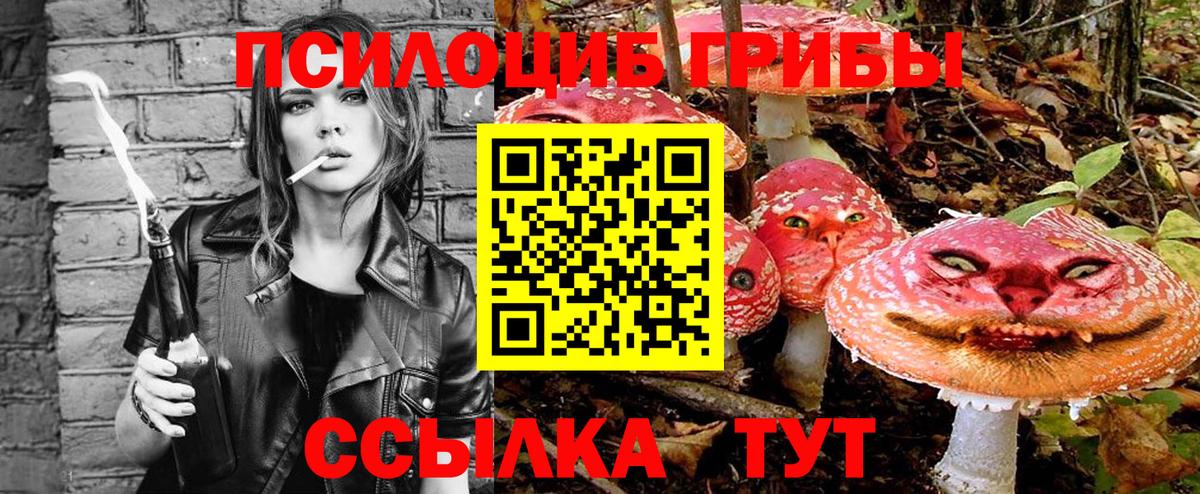 Псилоцибиновые грибы мицелий Химки