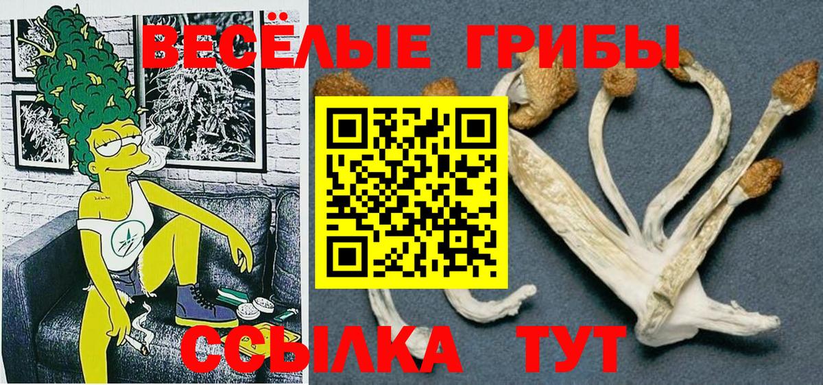 Химки  Галлюциногенные грибы GOLDEN TEACHER  Вход с VPN  Псилоцибиновые грибы прущие грибы 